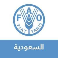 منظمة الفاو في السعودية
