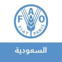 منظمة الفاو في السعودية توفر شاغر وظيفي في مجال الترجمة لحملة الشهادات الجامعية