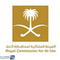 شعار الهيئة الملكية لمحافظة العلا