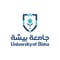 جامعة بيشة