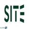 الشركة السعودية لتقنية المعلومات