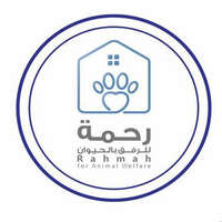 جمعية رحمة للرفق بالحيوان تعلن عن توفر وظيفة إدارية لحملة الثانوية العامة فأعلى
