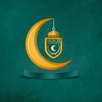 شعار الشركة